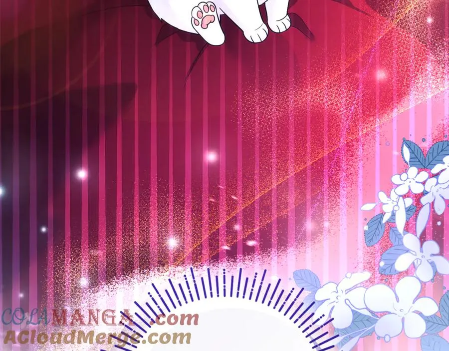 第3话 摇身一变成了预言猫 第261页