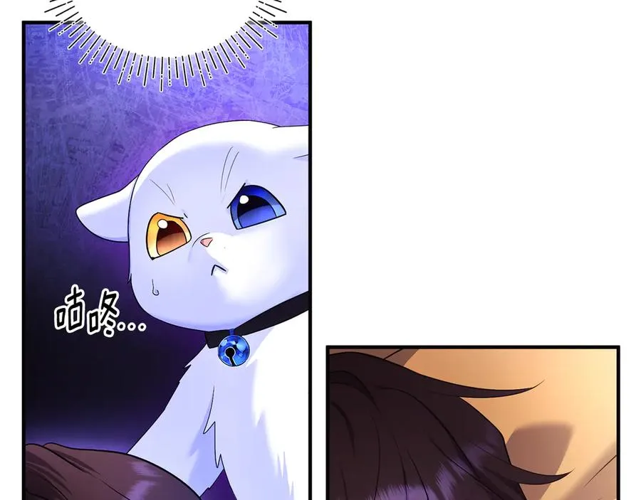 第3话 摇身一变成了预言猫 第266页