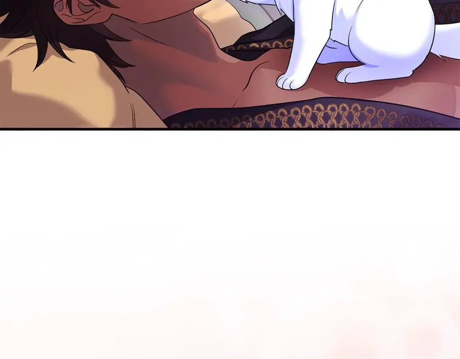 第3话 摇身一变成了预言猫 第270页
