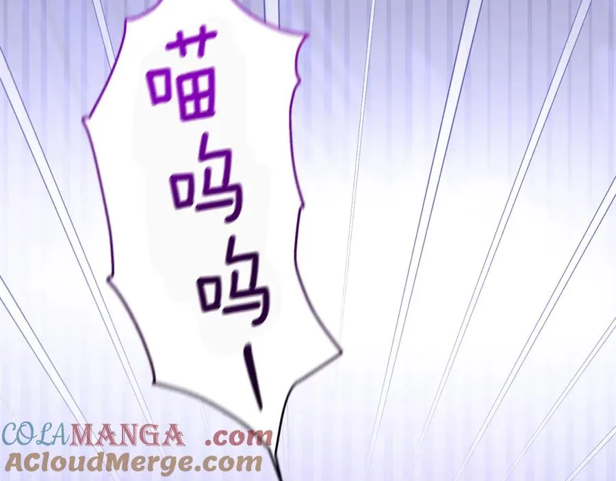 第5话 苏丹的儿子！ 第5页