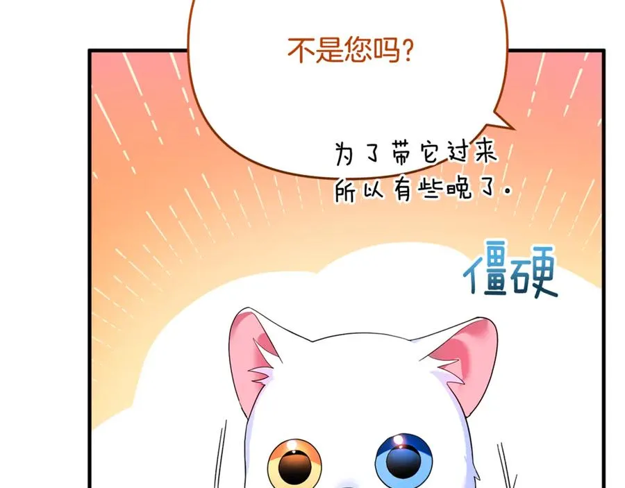 第5话 苏丹的儿子！ 第163页