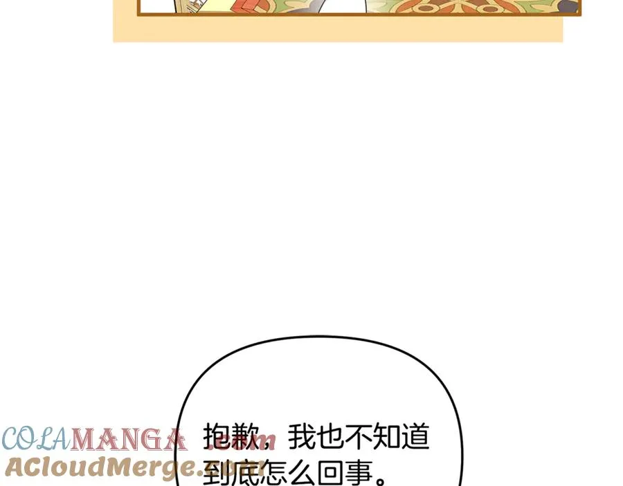 第6话 把猫大人留在身边 第41页