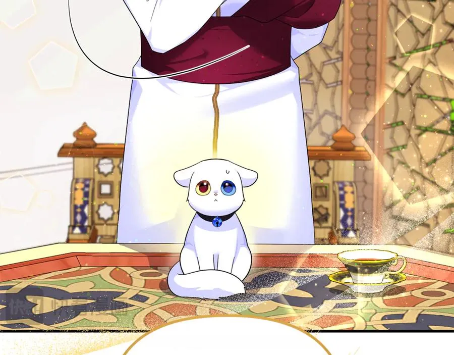 第6话 把猫大人留在身边 第92页