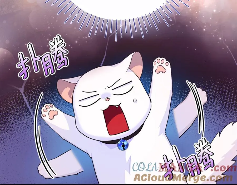 第6话 把猫大人留在身边 第117页