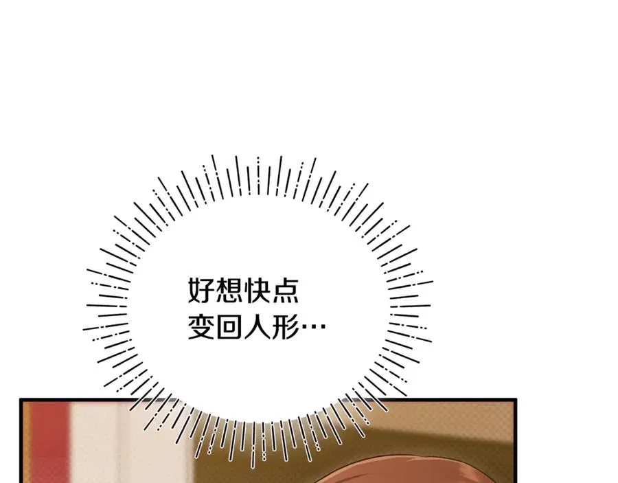 第6话 把猫大人留在身边 第122页