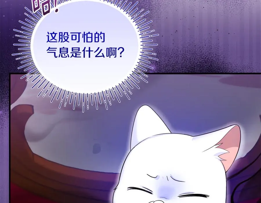 第6话 把猫大人留在身边 第174页