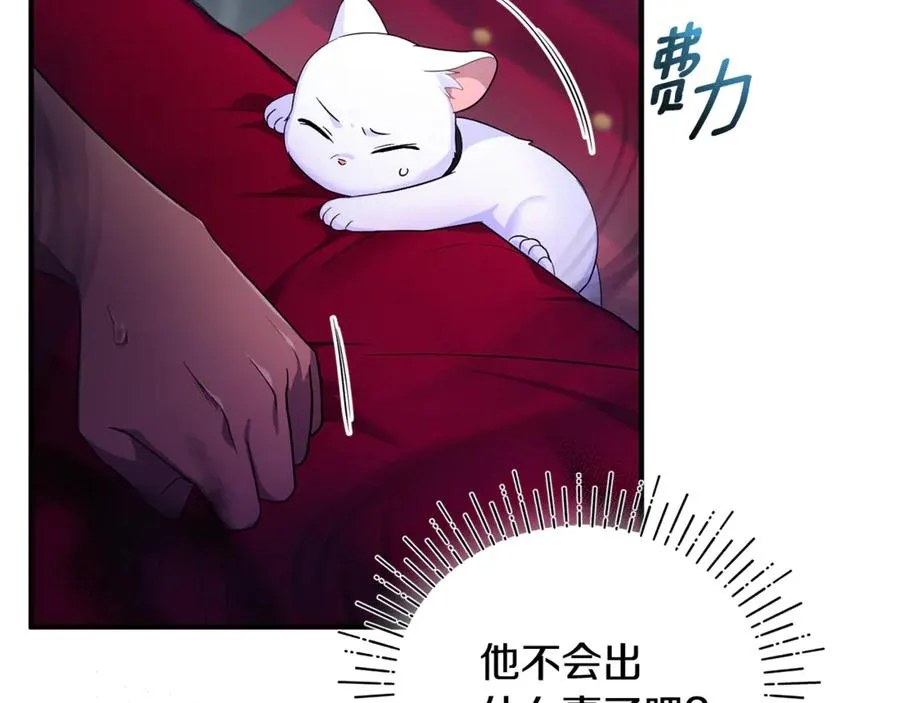第6话 把猫大人留在身边 第178页