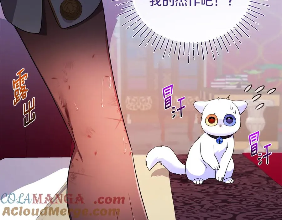 第6话 把猫大人留在身边 第209页