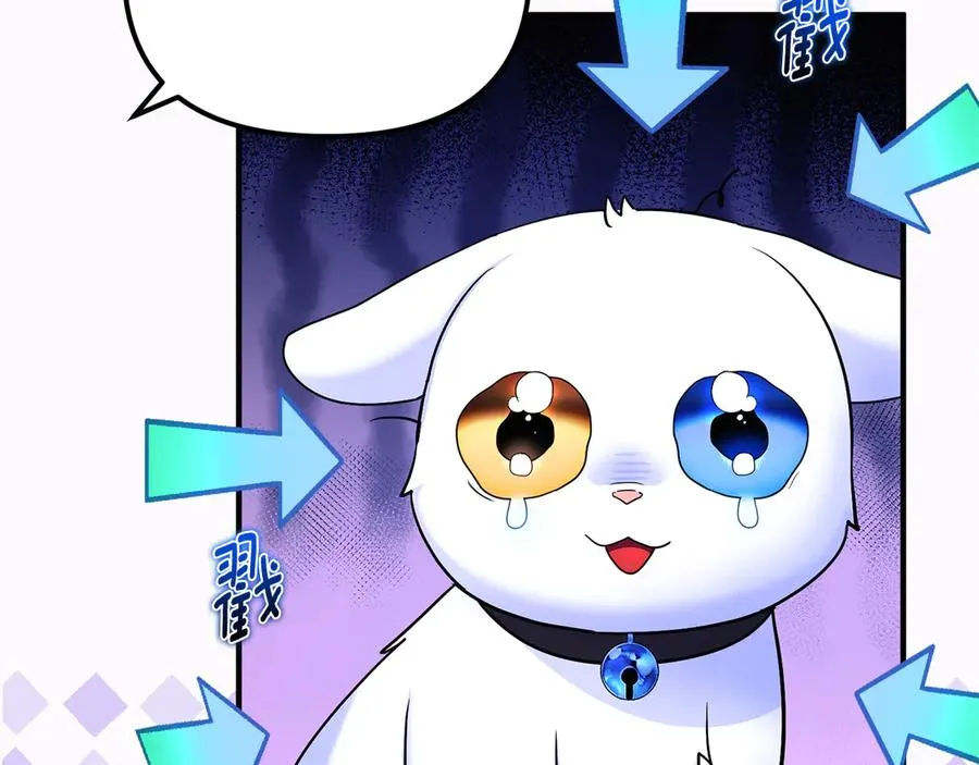 第6话 把猫大人留在身边 第211页
