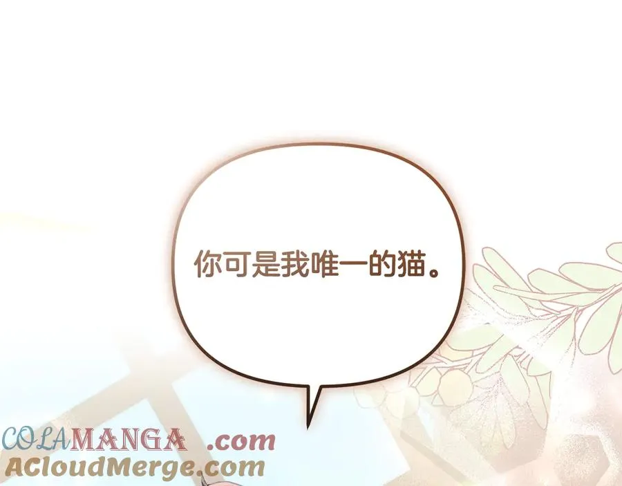 第6话 把猫大人留在身边 第213页