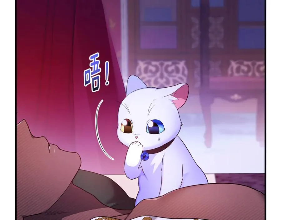第7话 你是我唯一的猫 第2页