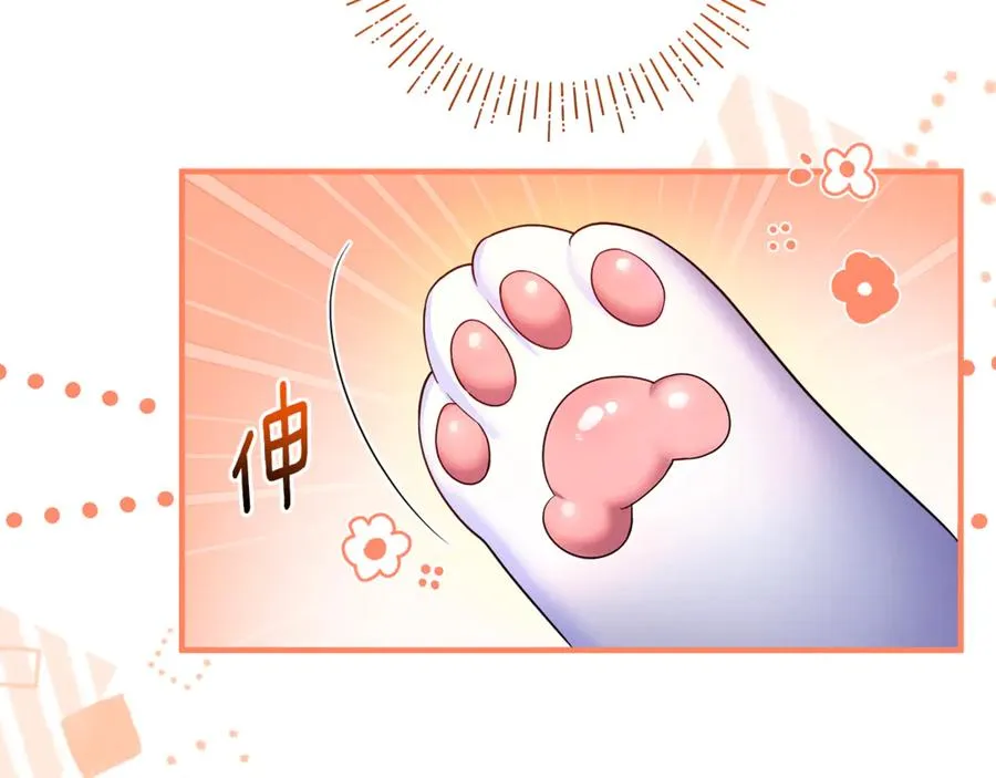 第7话 你是我唯一的猫 第4页