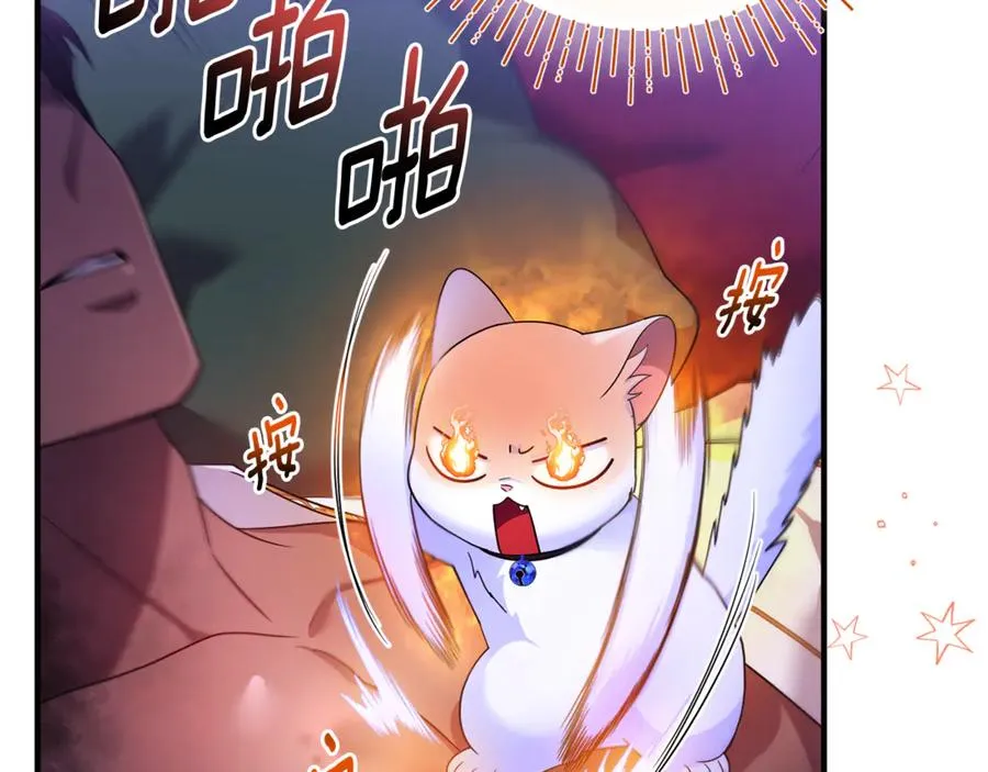 第7话 你是我唯一的猫 第6页
