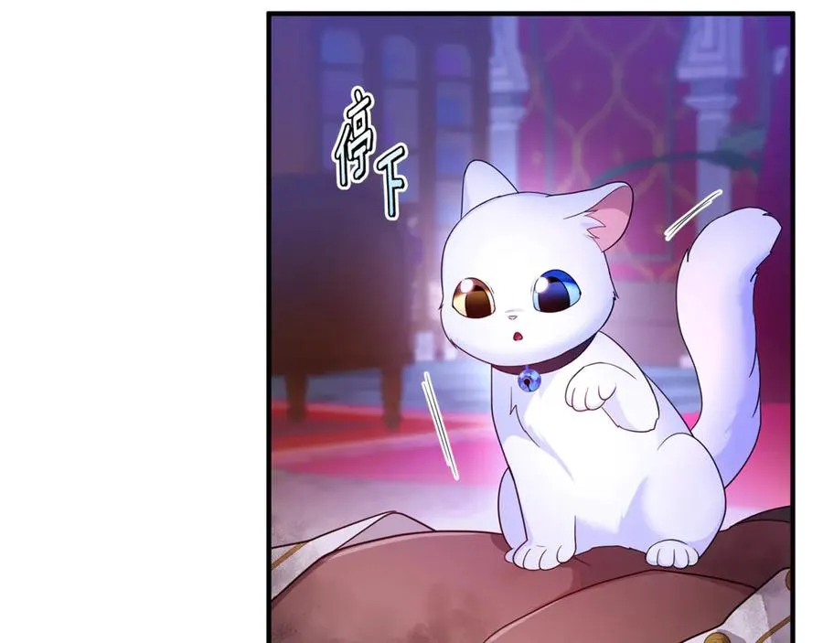 第7话 你是我唯一的猫 第8页