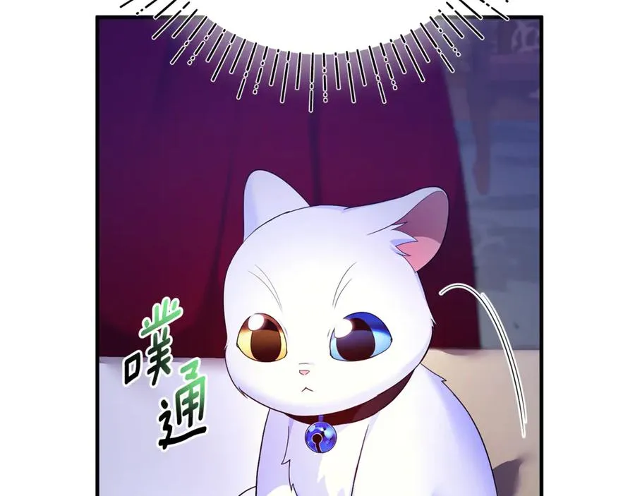第7话 你是我唯一的猫 第16页