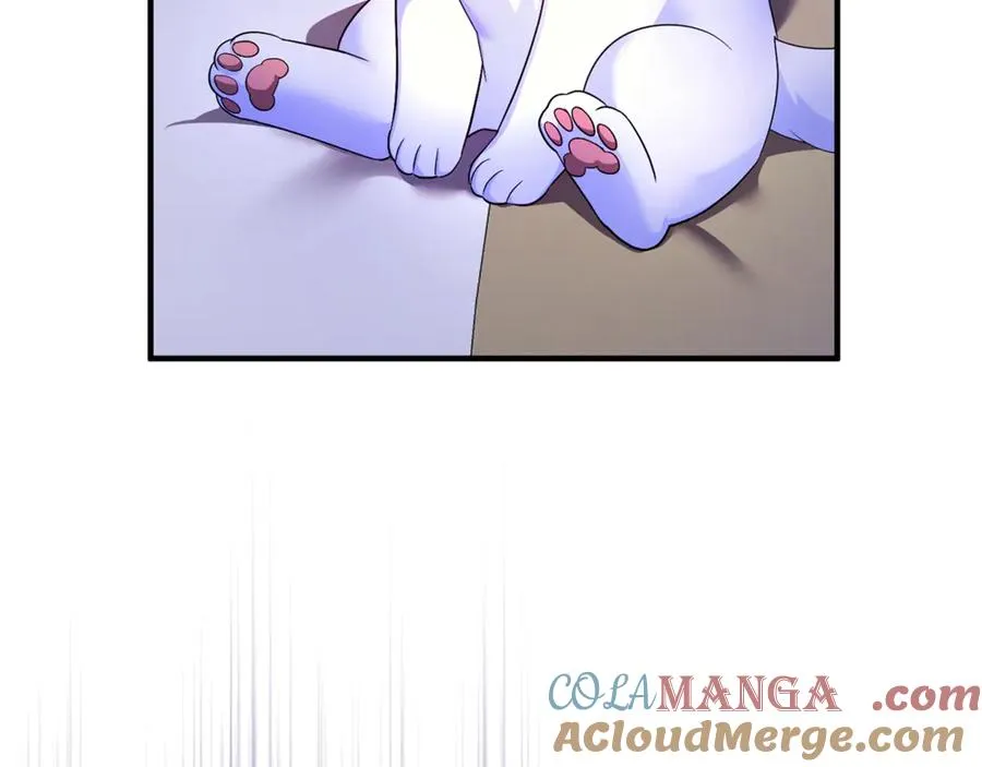 第7话 你是我唯一的猫 第17页