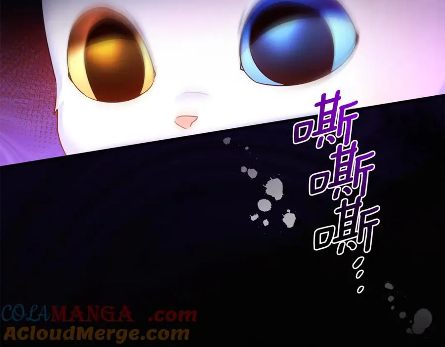 第7话 你是我唯一的猫 第21页