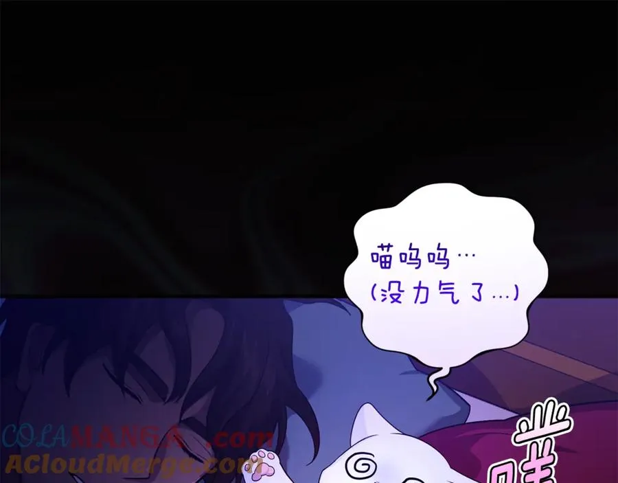 第7话 你是我唯一的猫 第25页
