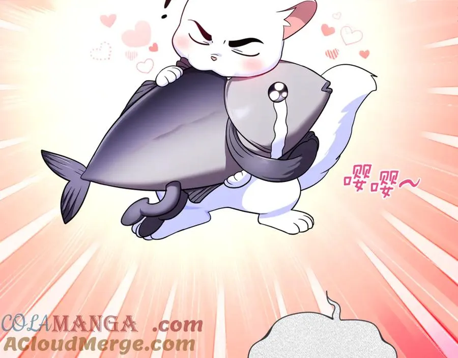 第7话 你是我唯一的猫 第65页