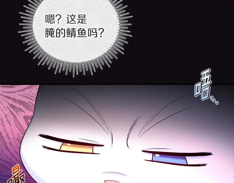 第7话 你是我唯一的猫 第67页