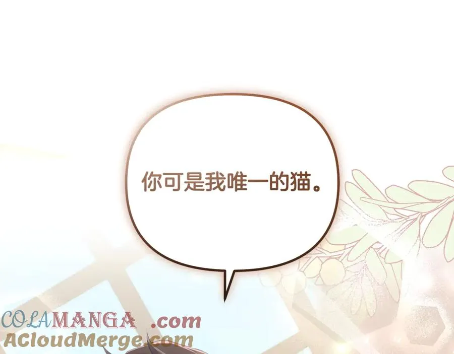 第7话 你是我唯一的猫 第85页