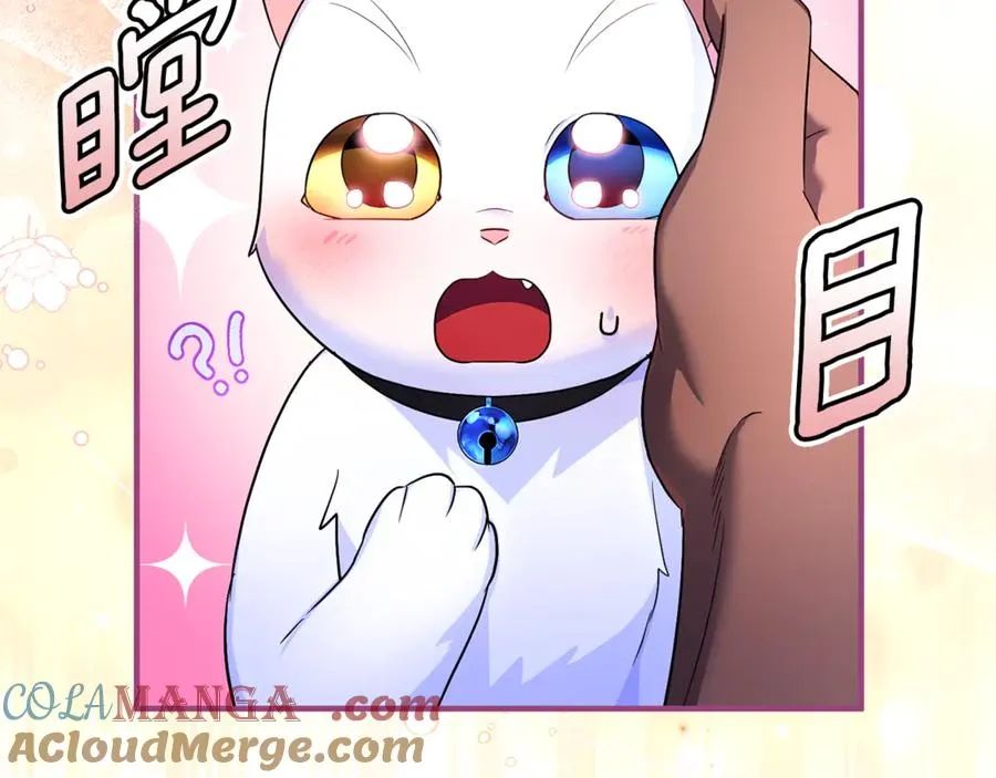 第7话 你是我唯一的猫 第89页