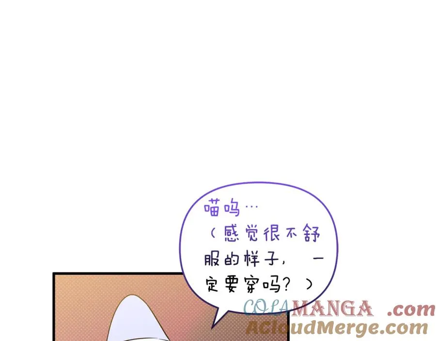 第7话 你是我唯一的猫 第101页