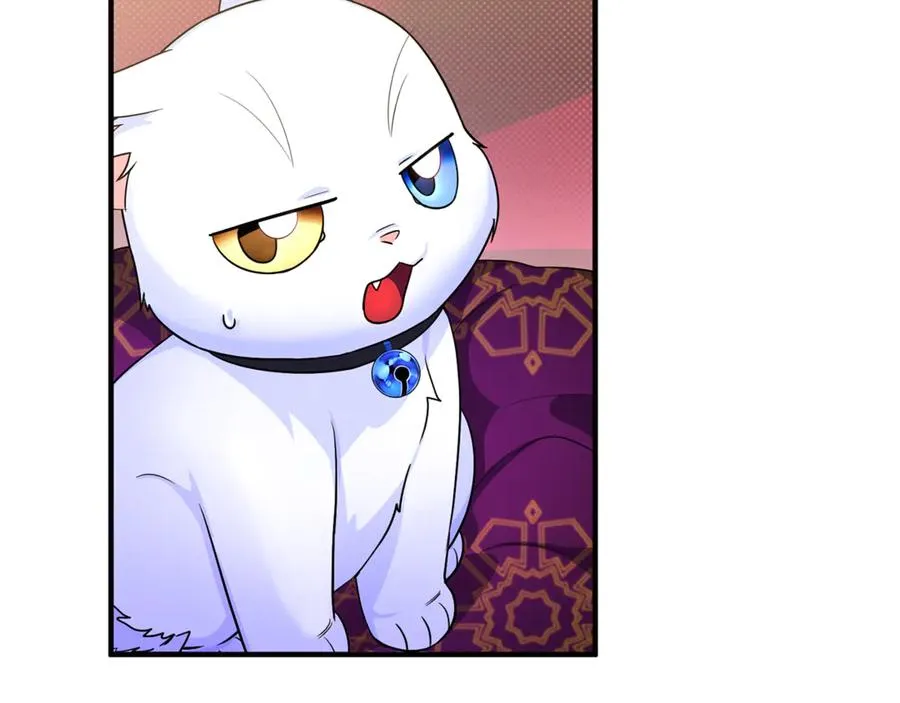 第7话 你是我唯一的猫 第102页