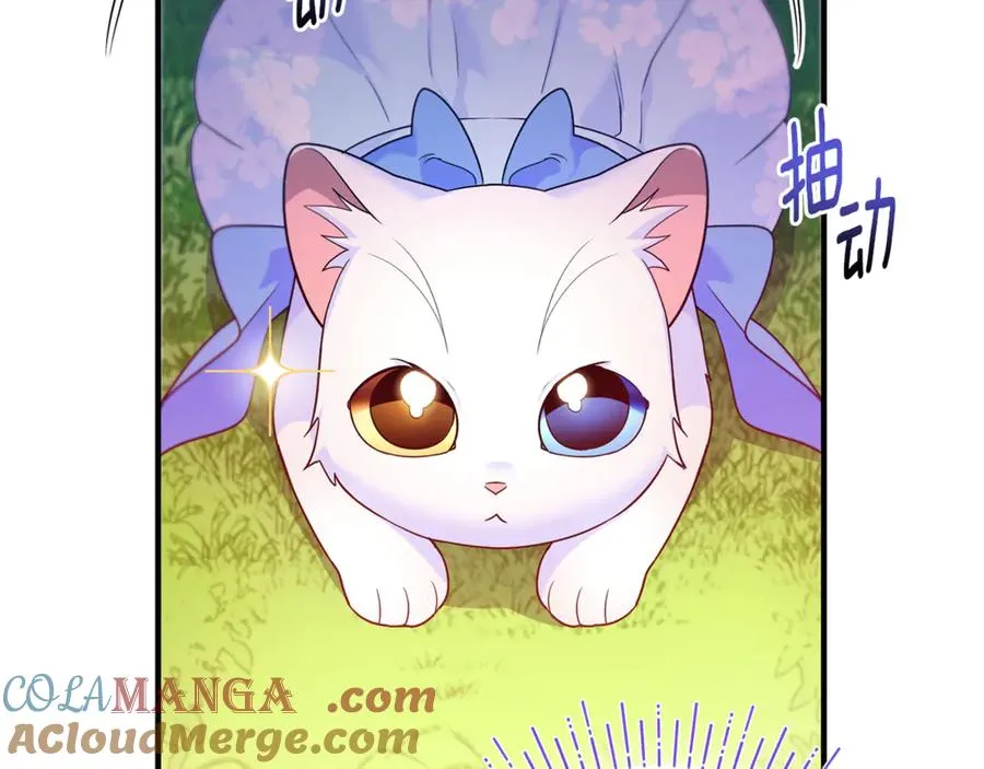 第7话 你是我唯一的猫 第137页