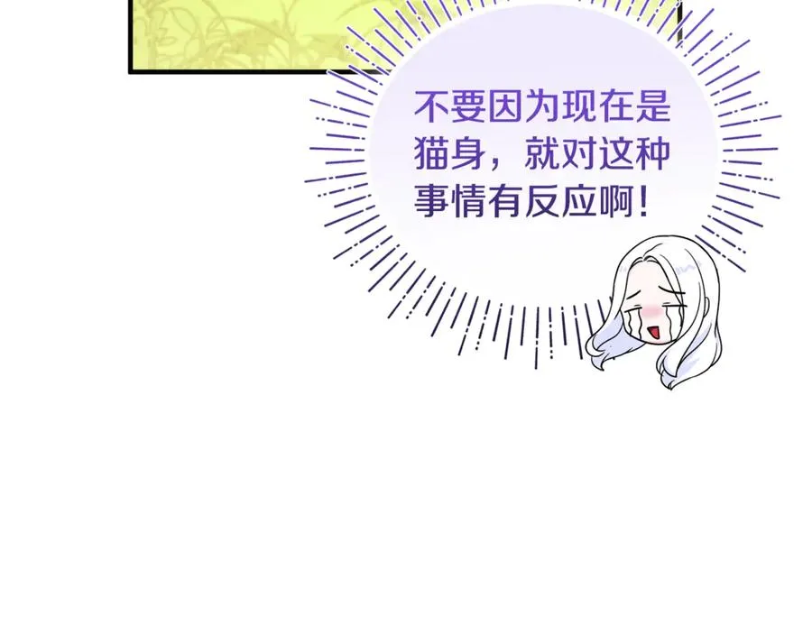第7话 你是我唯一的猫 第138页
