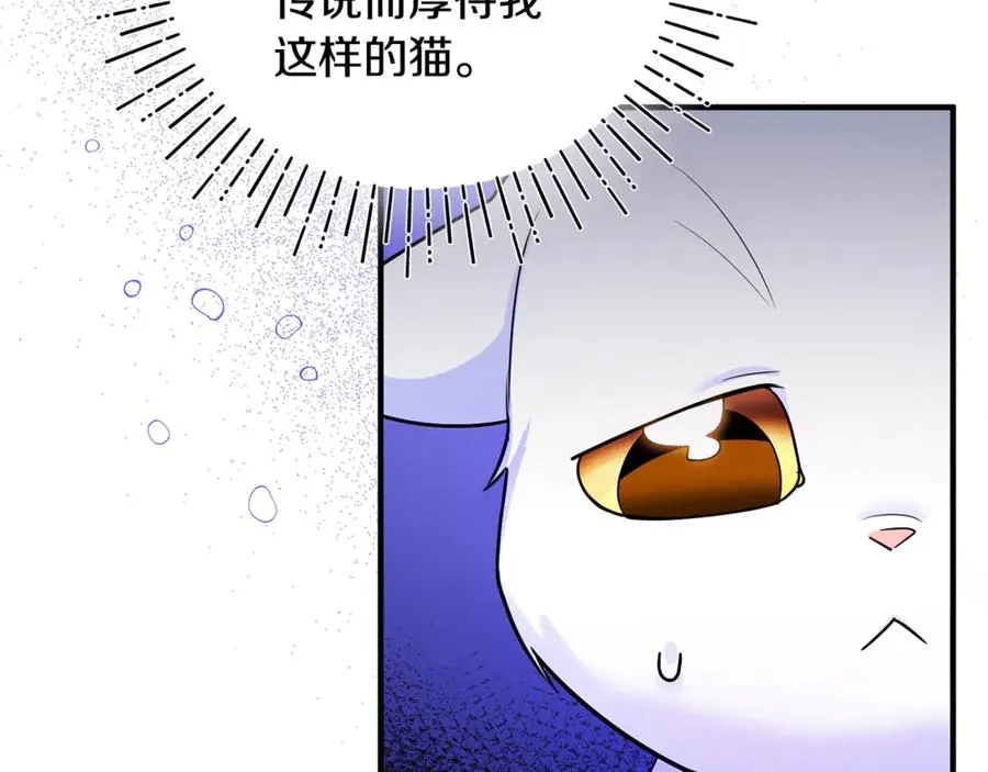 第9话 俩王子争猫 第8页