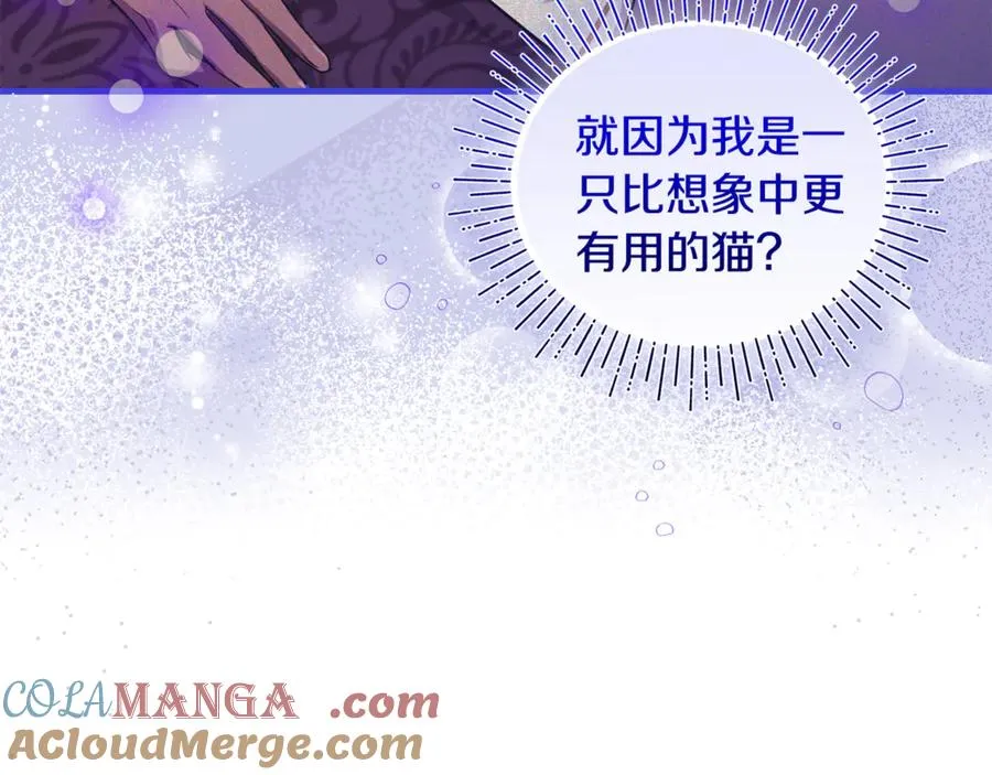 第9话 俩王子争猫 第17页