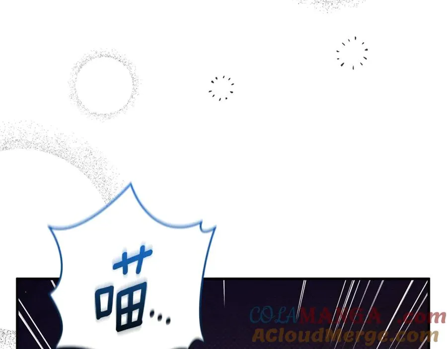 第9话 俩王子争猫 第41页