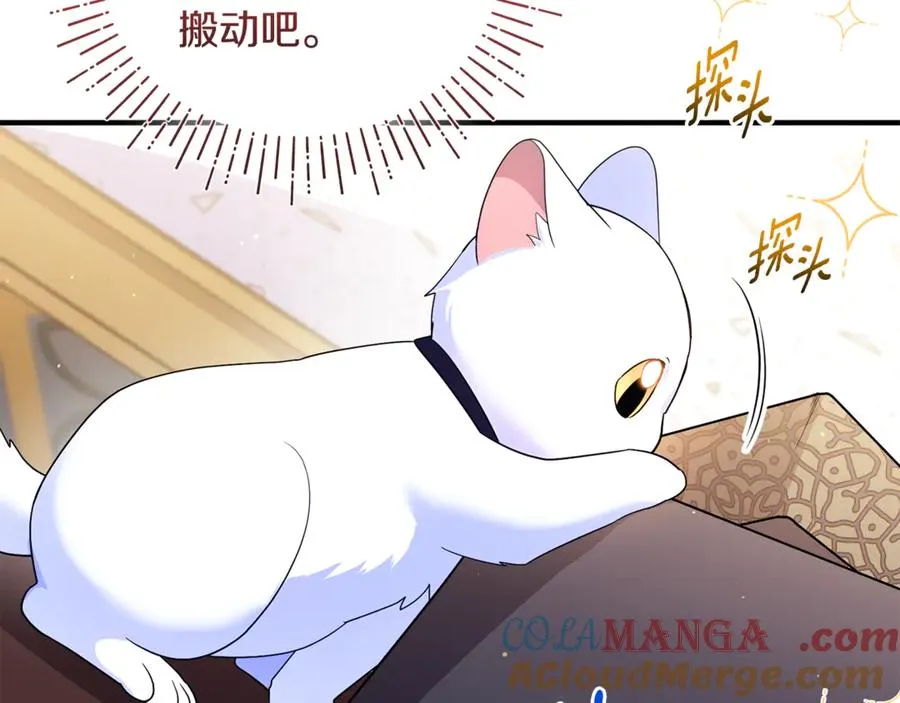 第9话 俩王子争猫 第73页