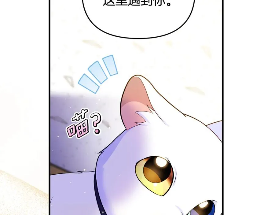 第9话 俩王子争猫 第75页