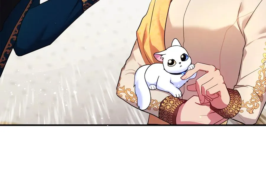 第9话 俩王子争猫 第112页