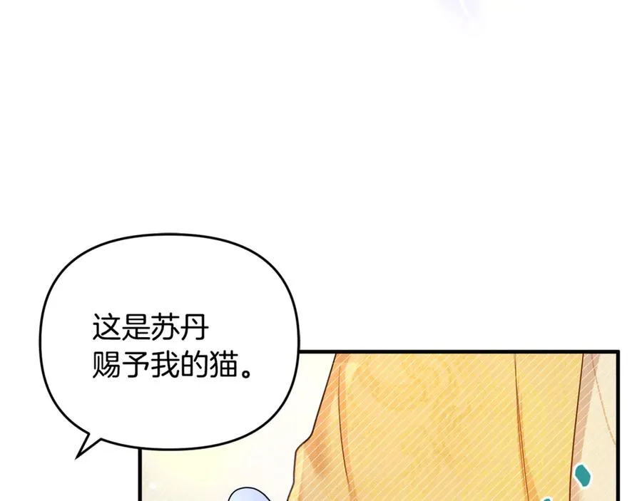 第9话 俩王子争猫 第126页