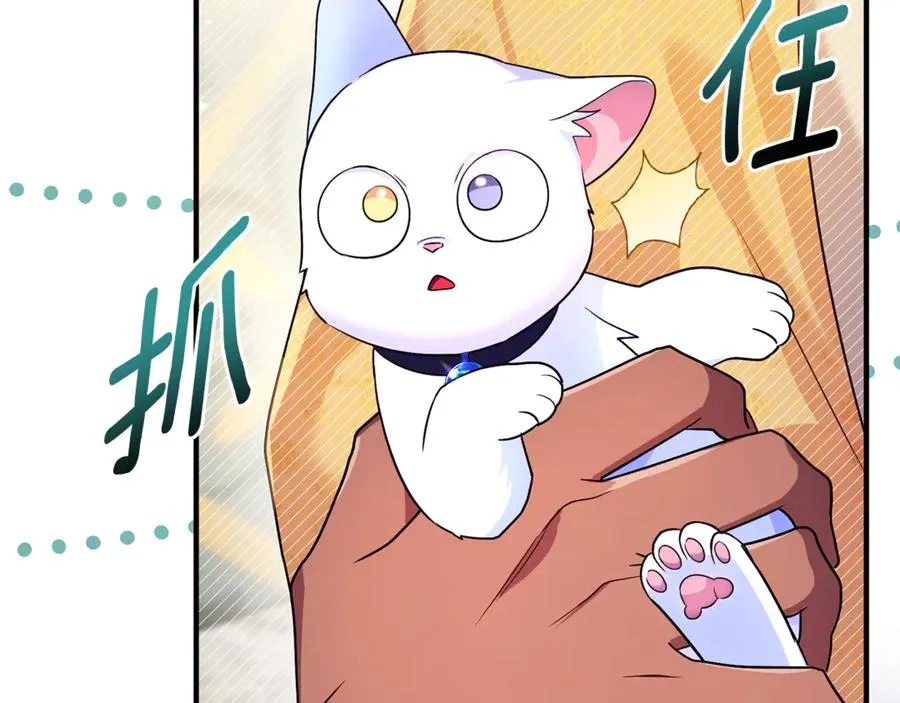 第9话 俩王子争猫 第127页