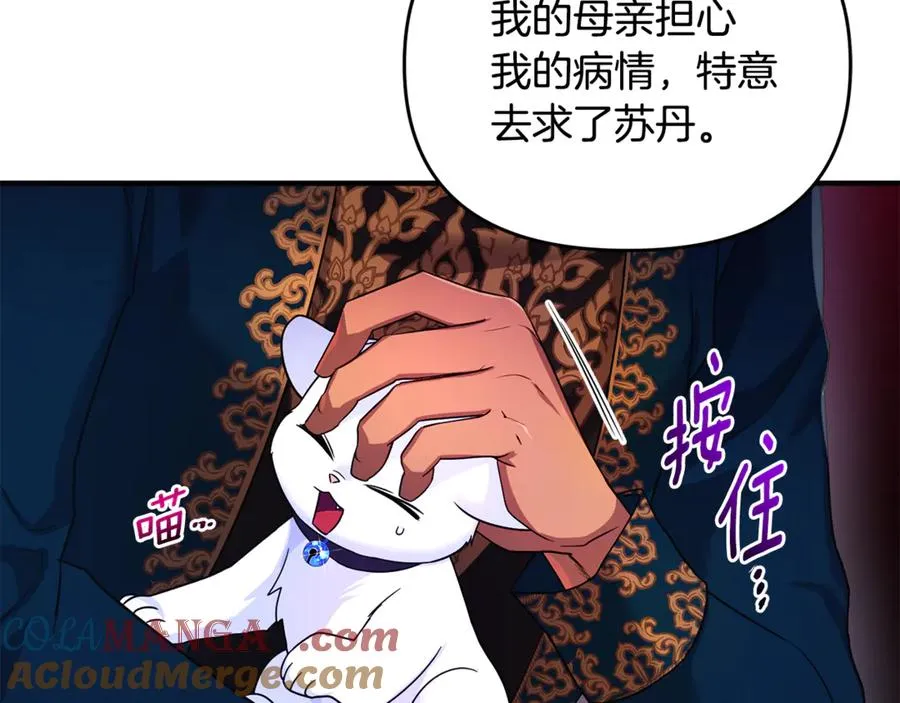 第9话 俩王子争猫 第141页