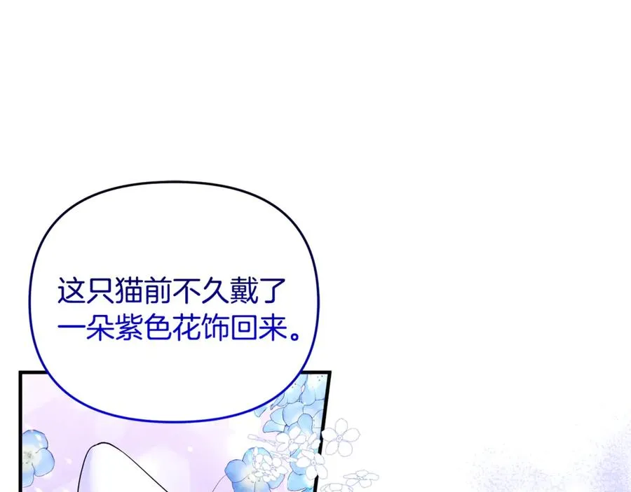 第9话 俩王子争猫 第146页