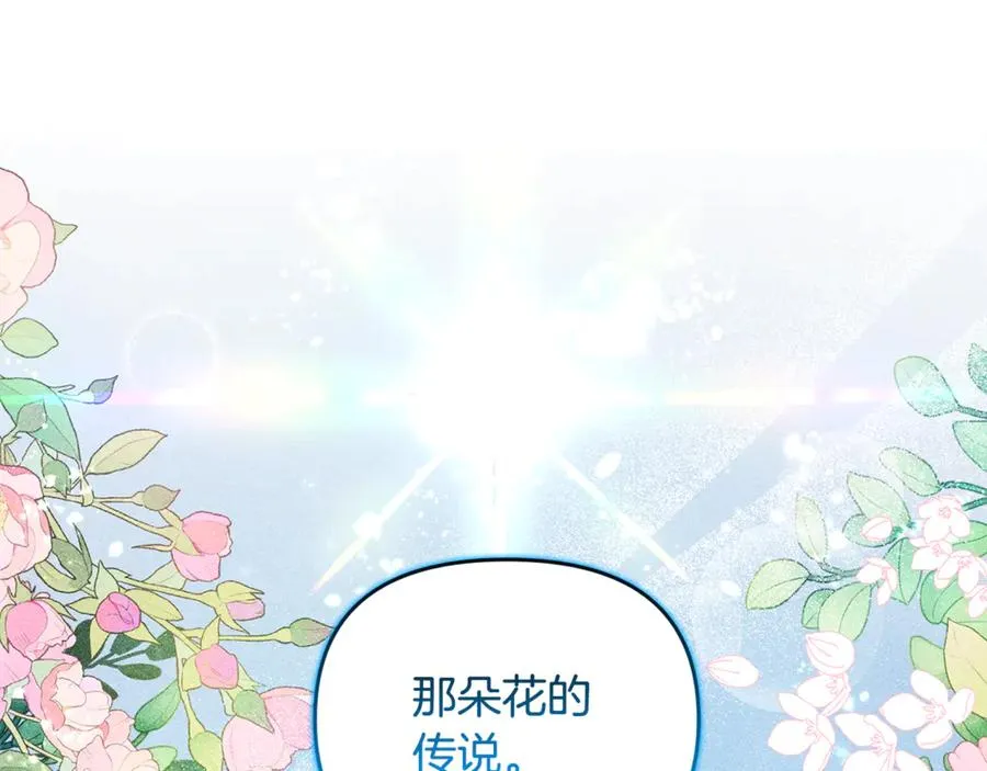 第9话 俩王子争猫 第159页