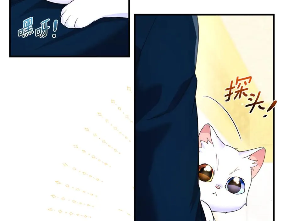 第9话 俩王子争猫 第184页