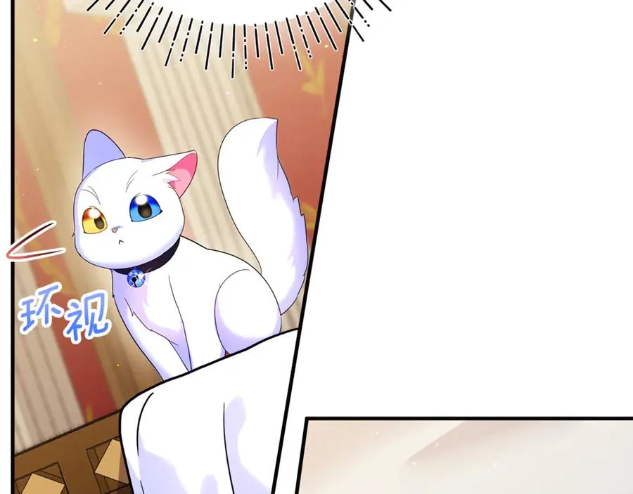 第13话 想要确认自己的心意 第12页