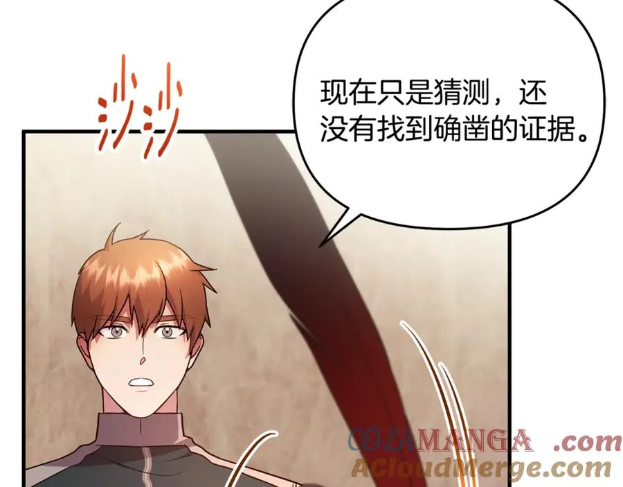 第22话 苏莱曼的心思 第5页