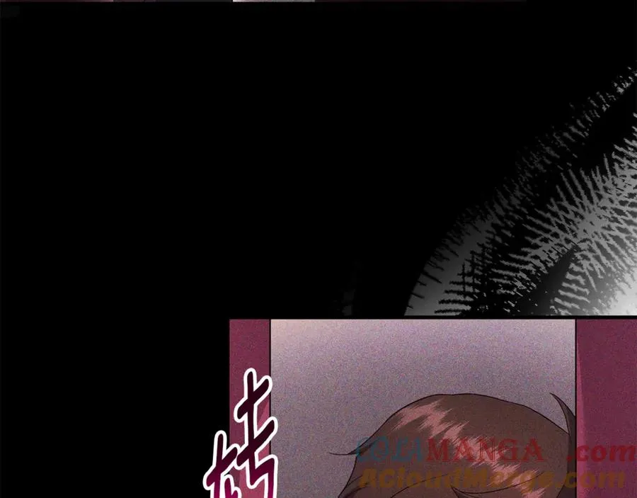 第22话 苏莱曼的心思 第69页