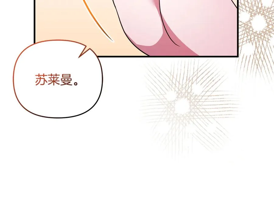 第22话 苏莱曼的心思 第118页