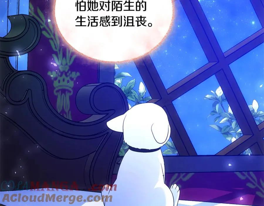 第22话 苏莱曼的心思 第129页