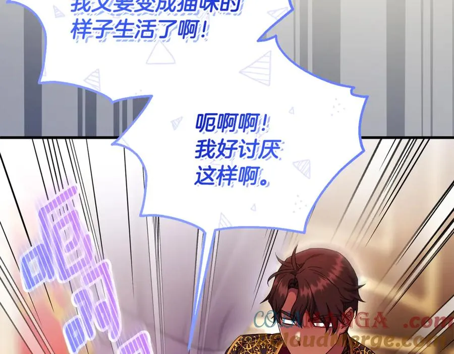 第22话 苏莱曼的心思 第173页