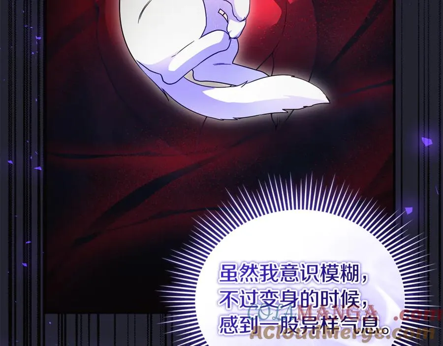 第25话 成为苏丹的资格 第21页