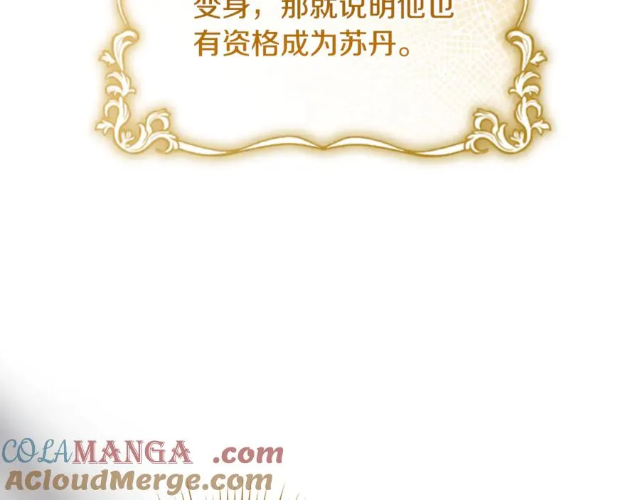 第25话 成为苏丹的资格 第33页